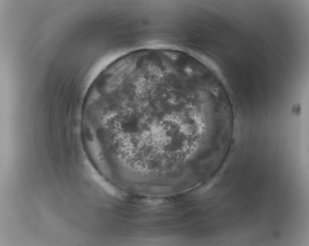 X0000113071231200909182017