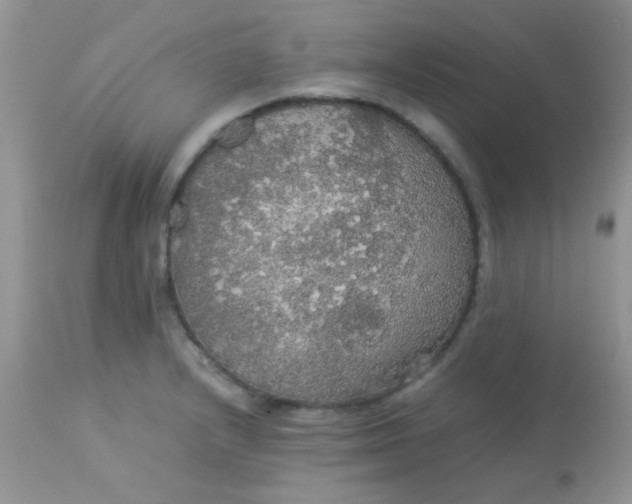 X0000113071232200909182017