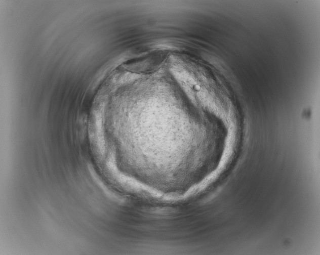 X0000113071233200909182017