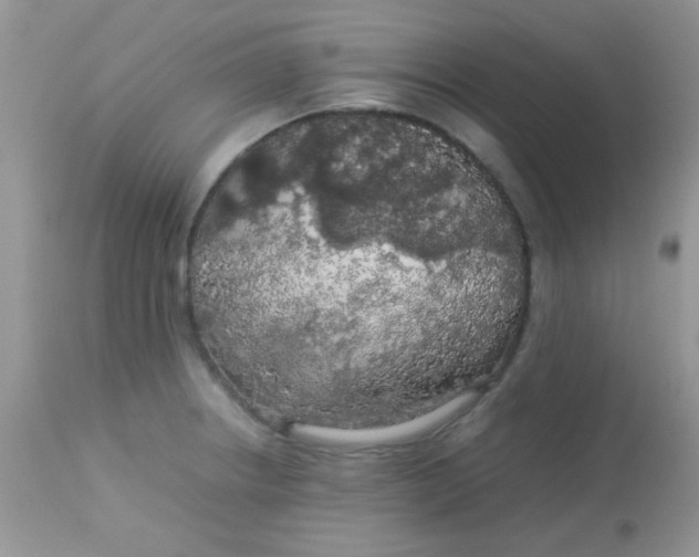 X0000113071234200909182017