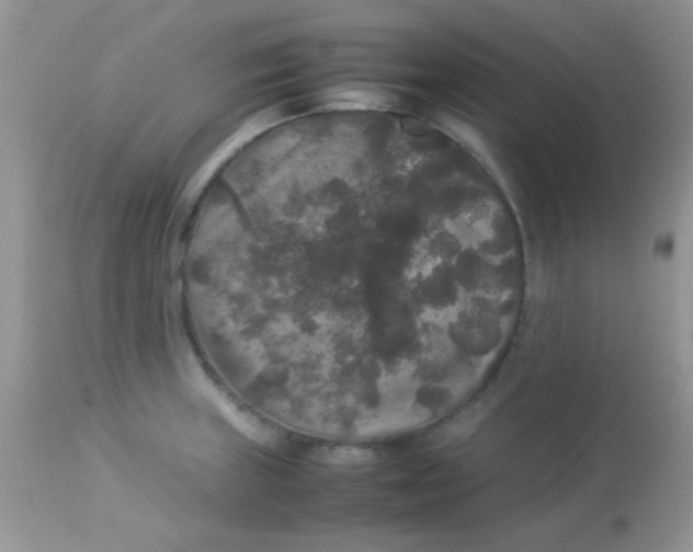 X0000113071235200909182017