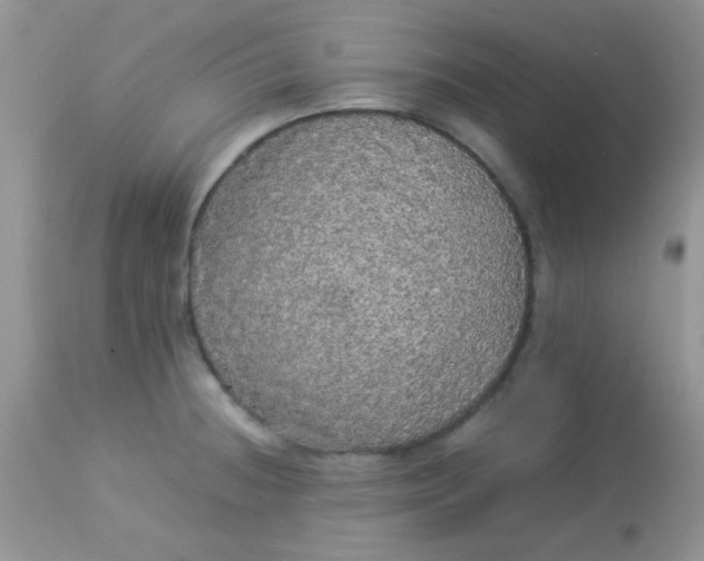 X0000113071236200909182017