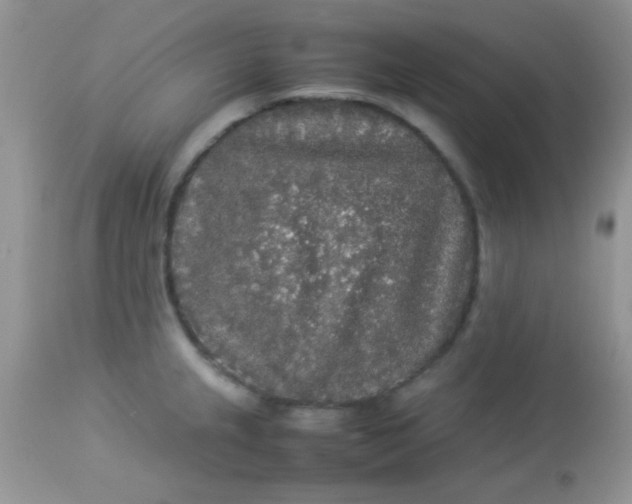 X0000113071237200909182017