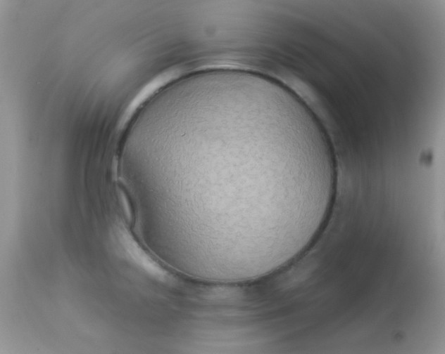 X0000113071238200909182017