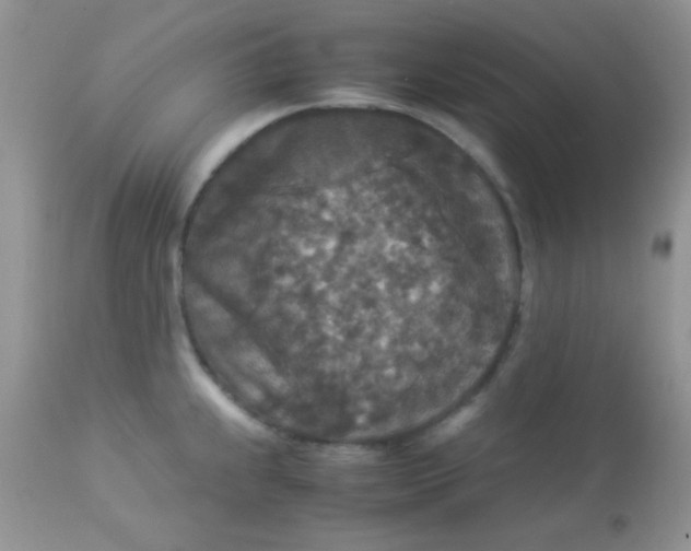 X0000113071239200909182017