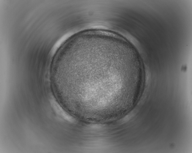 X0000113071240200909182017