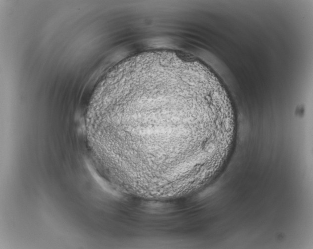 X0000113071241200909182017