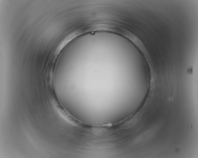 X0000113071242200909182017