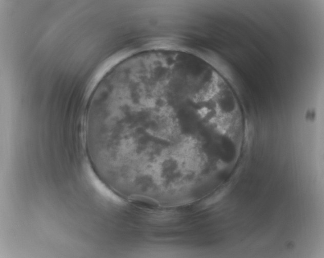 X0000113071247200909182017