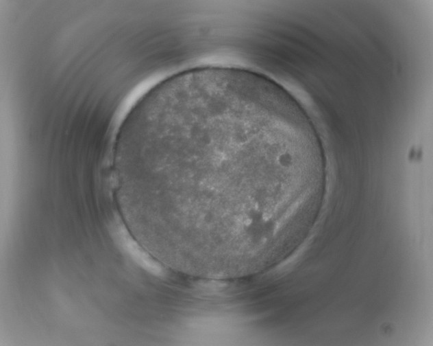 X0000113071248200909182017