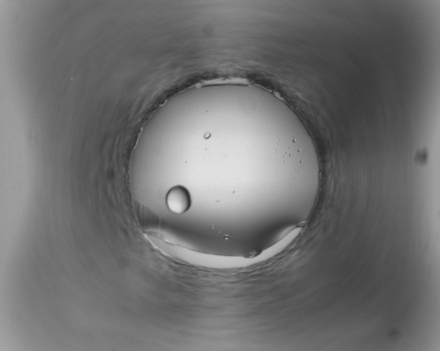 X0000113071249200909182017