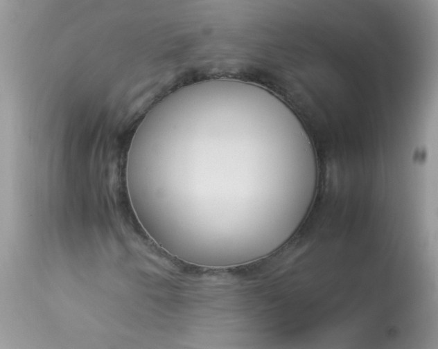 X0000113071250200909182017