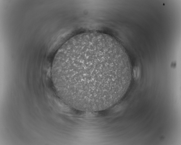 X0000113071251200909182017