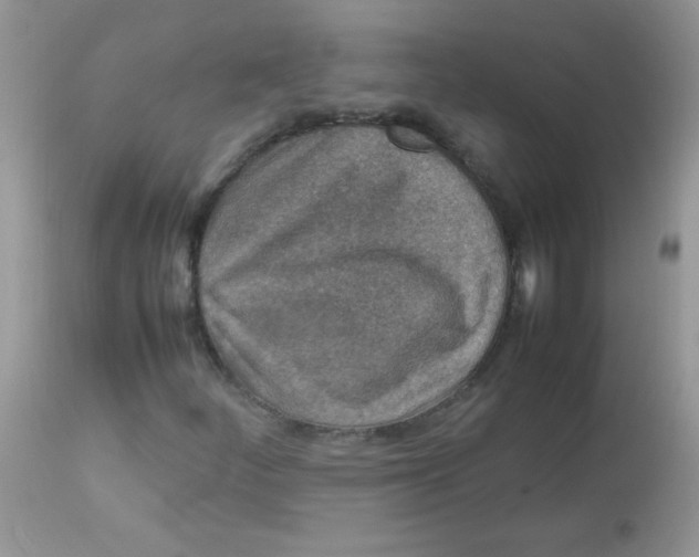 X0000113071252200909182017