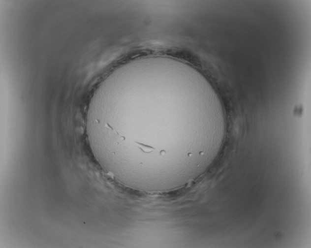 X0000113071253200909182017