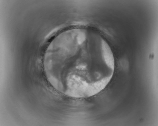 X0000113071254200909182017