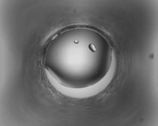 X0000113071255200909182017