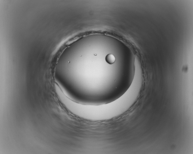 X0000113071256200909182017