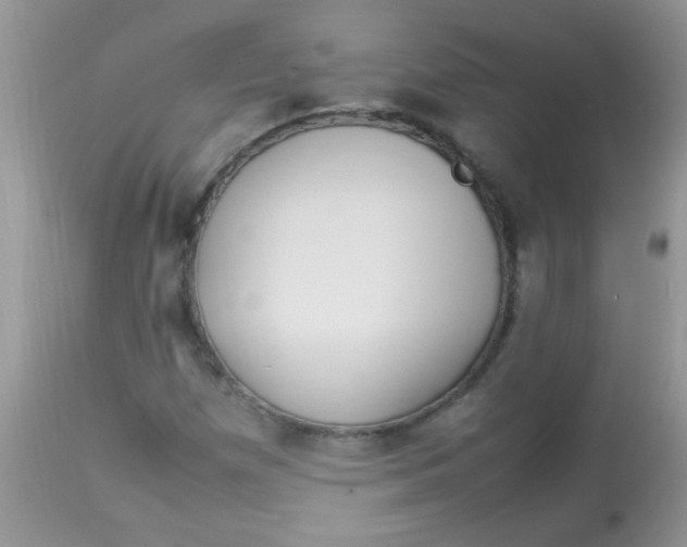 X0000113071257200909182017