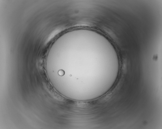 X0000113071258200909182016