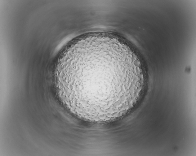 X0000113071259200909182016