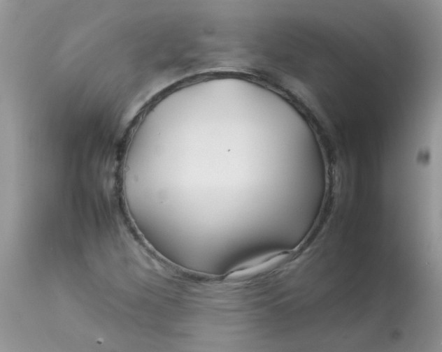 X0000113071260200909182016