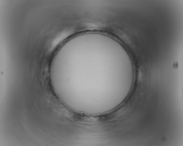 X0000113071261200909182016