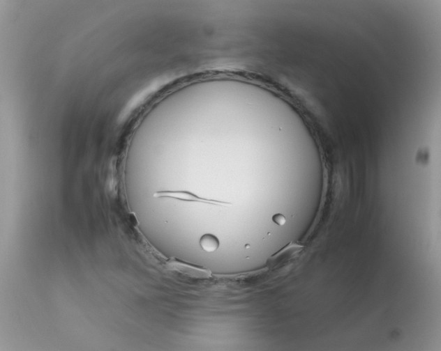 X0000113071262200909182016