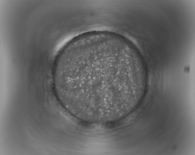 X0000113071263200909182016