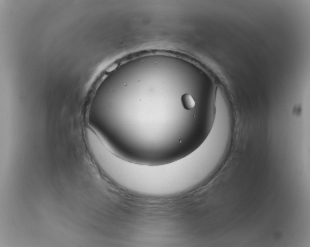 X0000113071264200909182016