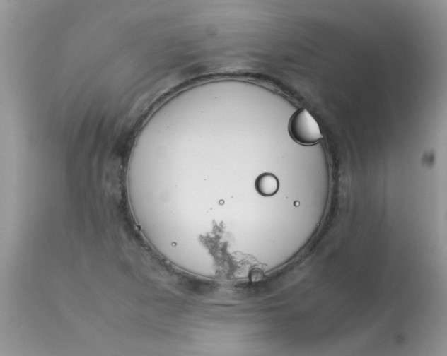 X0000113071265200909182016