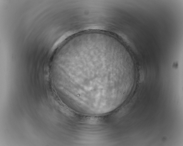 X0000113071266200909182016