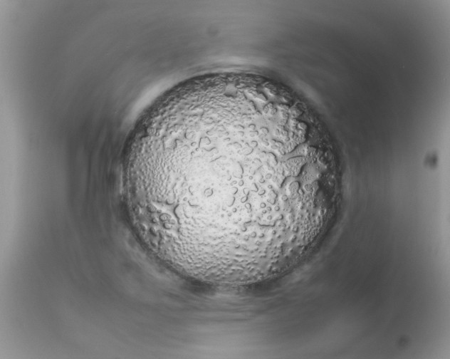 X0000113071267200909182016