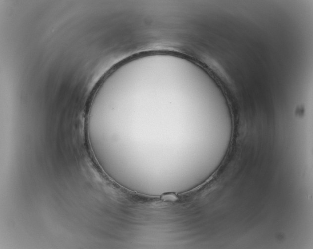 X0000113071268200909182016