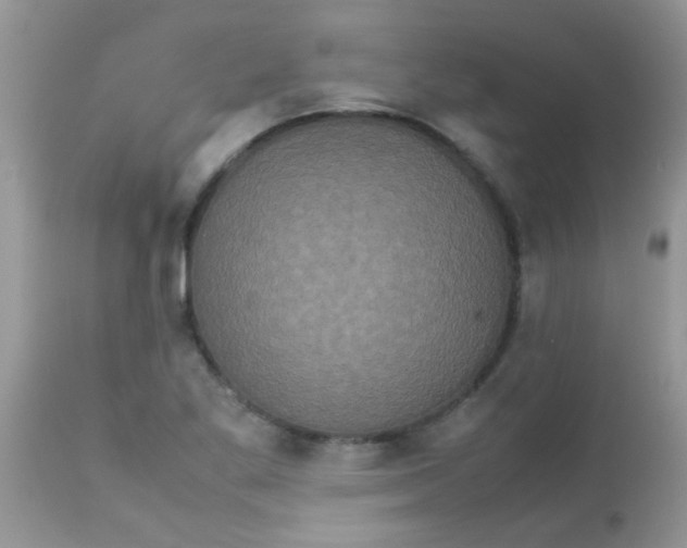 X0000113071269200909182016