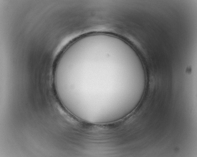 X0000113071270200909182016