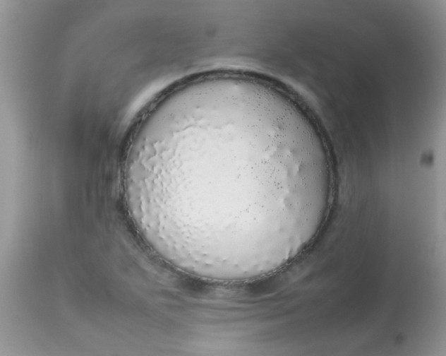 X0000113071271200909182016