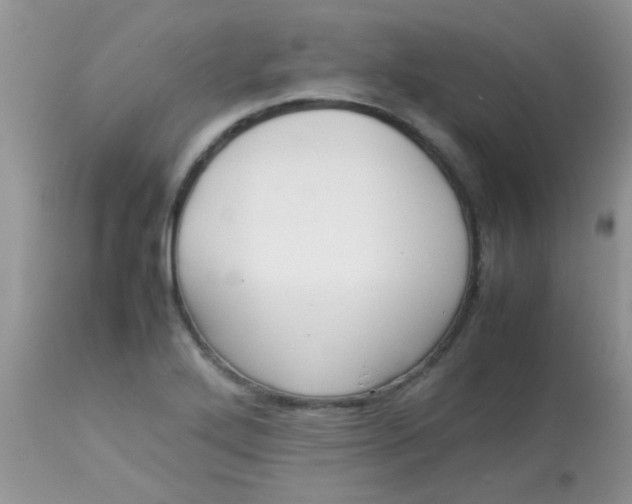 X0000113071272200909182016