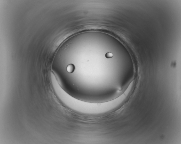 X0000113071273200909182016