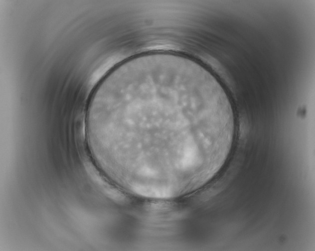 X0000113071274200909182016