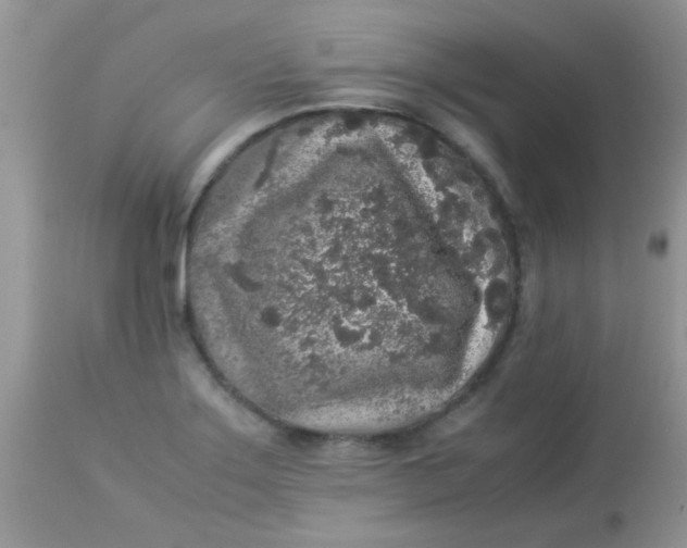 X0000113071275200909182016