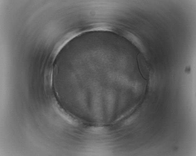 X0000113071276200909182016