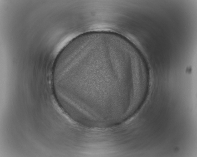 X0000113071277200909182016