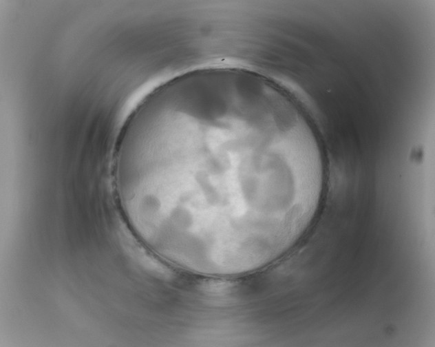 X0000113071278200909182016