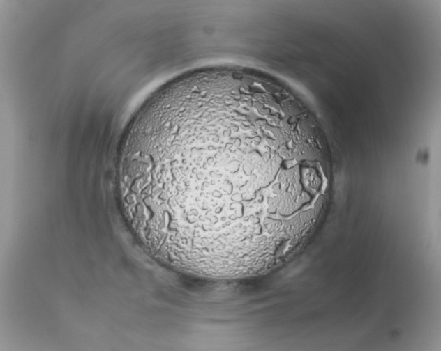 X0000113071279200909182016