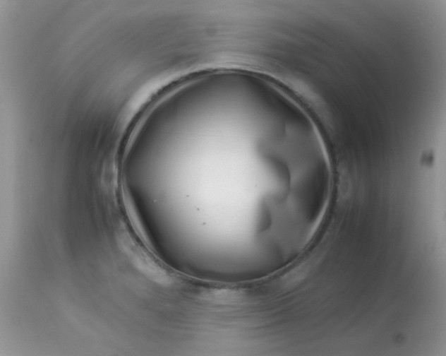 X0000113071280200909182016