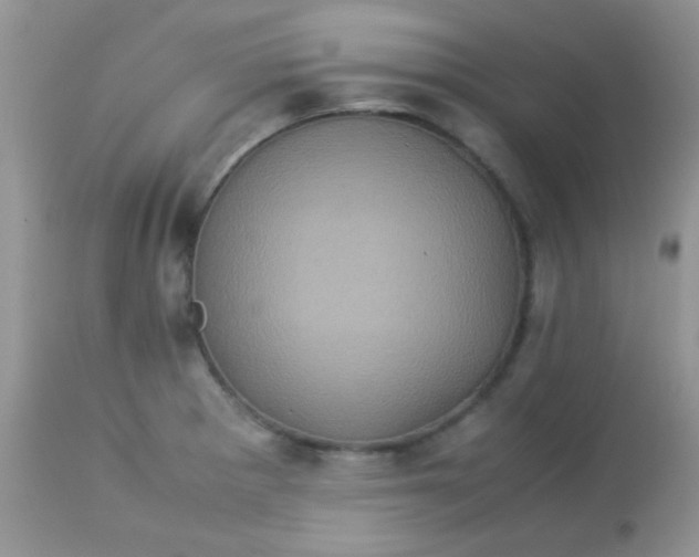 X0000113071281200909182016