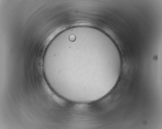 X0000113071282200909182016