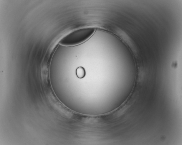 X0000113071284200909182016