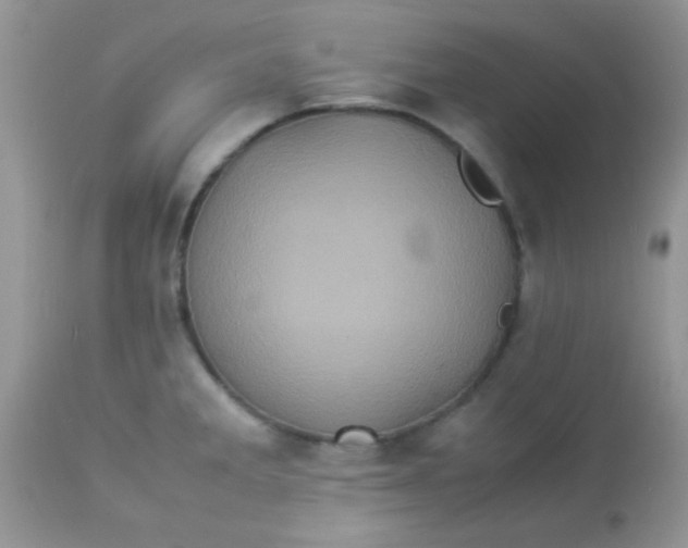 X0000113071285200909182016